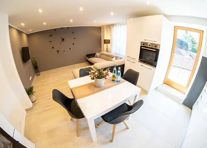 Flow Trogmann 梅拉诺